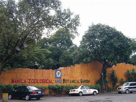 manila zoological and botanical garden|Manila Zoo .